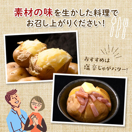 北海道今金町のふるさと納税 【先行予約】北海道今金町産男爵いも 約10kg 【2026年10月下旬以降順次出荷】北海道産 じゃがいも ジャガイモ だんしゃく 男爵 男爵いも 先行予約 野菜 ほくほく しっとり 常備野菜 野菜 F21W-486