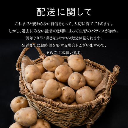 北海道今金町のふるさと納税 【先行予約】北海道今金町産男爵いも 約10kg 【2026年10月下旬以降順次出荷】北海道産 じゃがいも ジャガイモ だんしゃく 男爵 男爵いも 先行予約 野菜 ほくほく しっとり 常備野菜 野菜 F21W-486