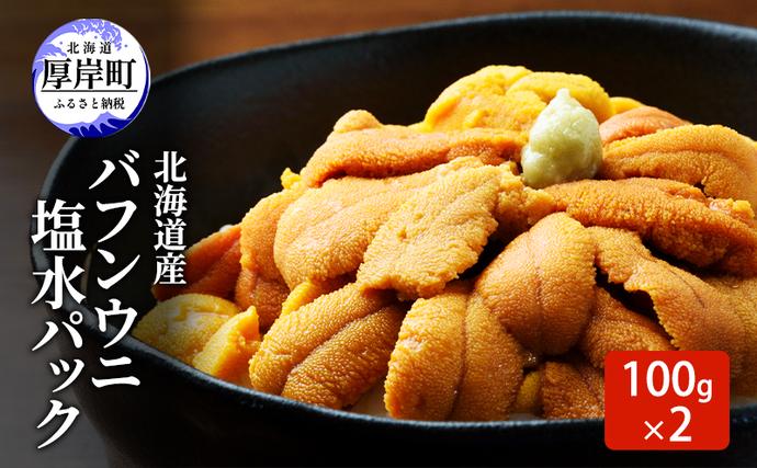 北海道産 バフンウニ 塩水パック 100g×2 雲丹 ウニ うに 新鮮 海産物 冷蔵 濃厚 甘い 国産 / 北海道厚岸町 | セゾンのふるさと納税
