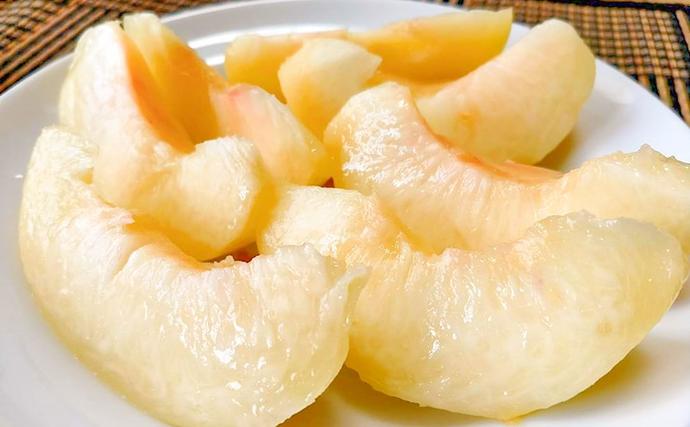 岡山県里庄町のふるさと納税 【桃 2026年 先行予約】ご家庭用 白桃 約1.4kg（4～6玉） もも モモ 岡山県 国産 フルーツ 果物