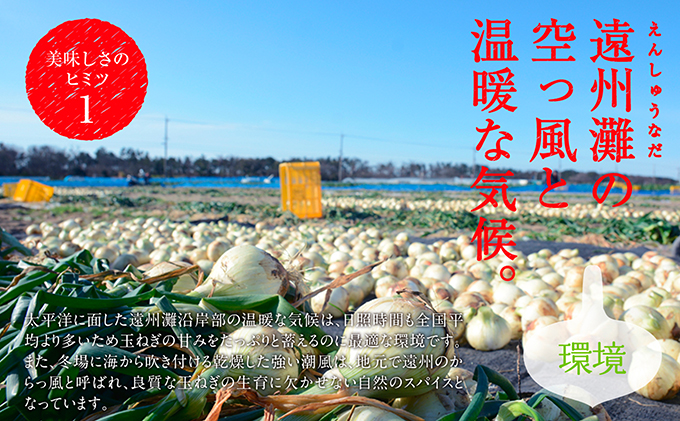 テレビで紹介されました！】浜松篠原産 新白玉ねぎ プレミアムホワイト