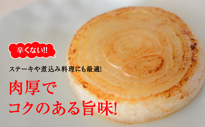 静岡県浜松市のふるさと納税 浜松篠原産新玉ねぎプレミアムフレッシュ5キロ【無選別品】 野菜 たまねぎ タマネギ 5kg