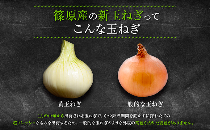 静岡県浜松市のふるさと納税 浜松篠原産新玉ねぎプレミアムフレッシュ10キロ【無選別品】 野菜 たまねぎ タマネギ 10kg