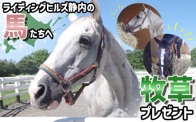 競走馬のふるさと 北海道 新ひだか町 ライディングヒルズ静内 馬 への