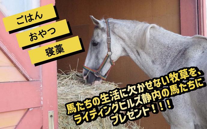 競走馬のふるさと 北海道 新ひだか町 ライディングヒルズ静内 馬 への