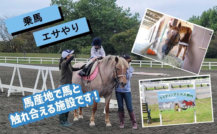 競走馬のふるさと 北海道 新ひだか町 ライディングヒルズ静内 馬 への