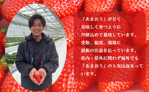 福岡県福津市のふるさと納税 【2026年1月より順次発送】福津産『空飛ぶあまおう』約180g×6パック【スカイフローラファーム】[G0150]