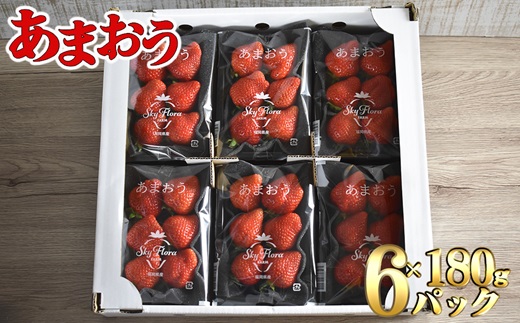 福岡県福津市のふるさと納税 【2026年1月より順次発送】福津産『空飛ぶあまおう』約180g×6パック【スカイフローラファーム】[G0150]