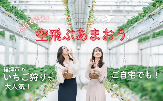 福岡県福津市のふるさと納税 【2026年3月より順次発送】福津産『空飛ぶあまおう』約180g×6パック【スカイフローラファーム】[G0151]