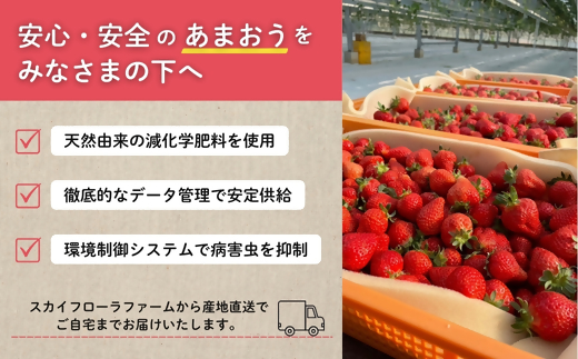 福岡県福津市のふるさと納税 【2026年3月より順次発送】福津産『空飛ぶあまおう』約180g×6パック【スカイフローラファーム】[G0151]