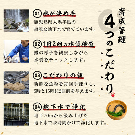 鹿児島県志布志市のふるさと納税 【3月末までに配送】【志布志市人気No.1お礼の品】霧島湧水鰻の蒲焼き 140g以上×2尾＜計280g以上＞ a1-157-03