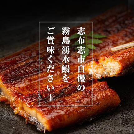 鹿児島県志布志市のふるさと納税 【3月末までに配送】【志布志市人気No.1お礼の品】霧島湧水鰻の蒲焼き 140g以上×2尾＜計280g以上＞ a1-157-03