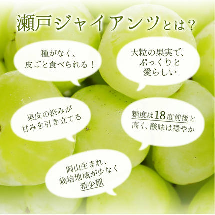 岡山県鏡野町のふるさと納税 【期間限定】鏡野町産 瀬戸ジャイアンツ 2kg（2?4房）
