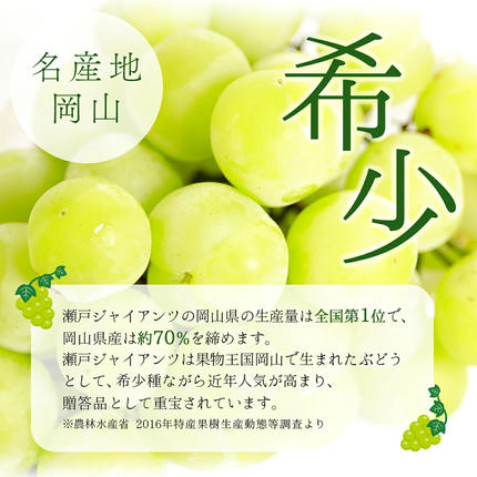 岡山県鏡野町のふるさと納税 【期間限定】鏡野町産 瀬戸ジャイアンツ 2kg（2?4房）
