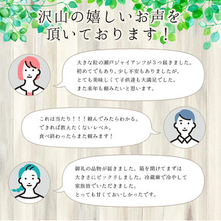 岡山県鏡野町のふるさと納税 【期間限定】鏡野町産 瀬戸ジャイアンツ 2kg（2?4房）