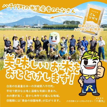 茨城県八千代町のふるさと納税 【スピード発送】コシヒカリ 5kg (5kgx1袋) 令和7年産 茨城県産 こしひかり 白米 精米 茨城県 八千代町 お米 米 [SF561yai]