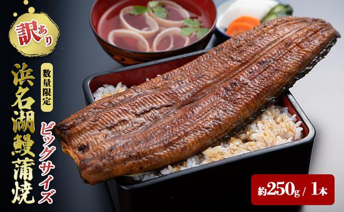 訳アリ・数量限定】浜名湖鰻蒲焼1本（約250g） ビッグサイズ うなぎ