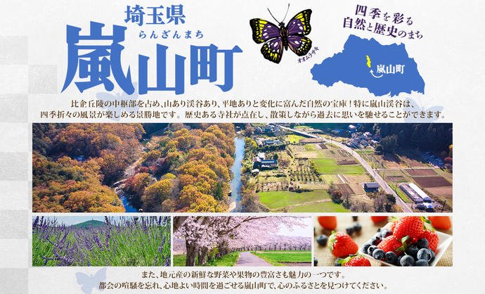 埼玉県嵐山町のふるさと納税 松屋 オリジナルカレーの具 180g 牛丼 プレミアム仕様 牛めしの具 135g 各15袋 30袋 セット 牛肉 カレー 辛口 スパイス カレギュウ レトルト 冷凍 時短 簡単 便利 レンチンおかず 備蓄 夜食 埼玉県 嵐山町