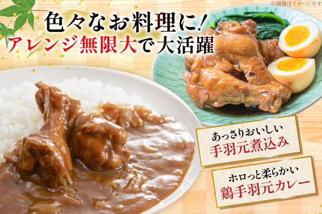 宮崎県美郷町のふるさと納税 鶏肉 詰め合わせ 宮崎県産 むね肉 ささみ 手羽元 セット 各 1kg 2p 計 6kg [九州児湯フーズ 宮崎県 美郷町 31ai0022] 肉 精肉 鳥肉 とり肉 鳥 鶏 若鶏 むね ムネ肉 ムネ ササミ 手羽 真空パック 冷凍 冷凍保存 小分け
