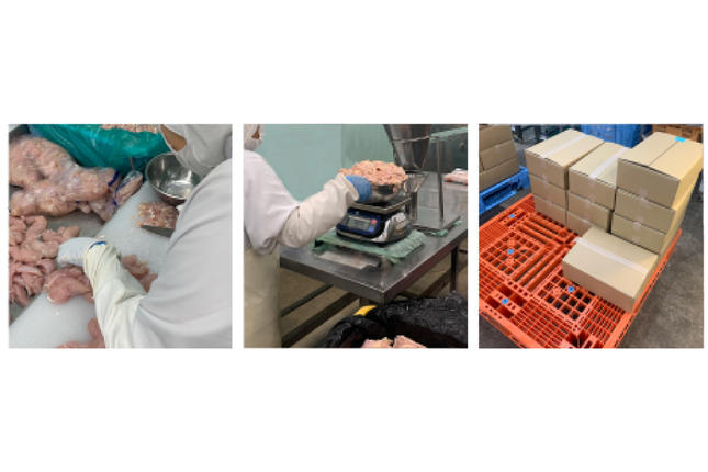 宮崎県美郷町のふるさと納税 鶏肉 詰め合わせ 宮崎県産 若鶏 むね肉 ささみ 手羽元 セット 各1kg 2p 計6kg [九州児湯フーズ 宮崎県 美郷町 31ai0022] 小分け むね 鶏むね肉 鶏むね 手羽 ササミ 冷凍 真空パック