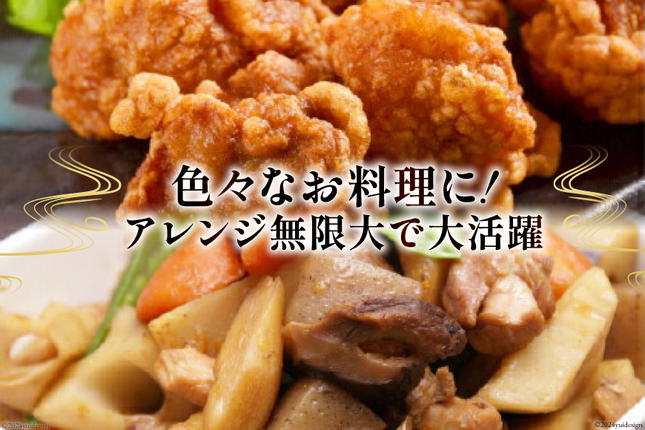 宮崎県美郷町のふるさと納税 鶏肉 むね肉 若鶏むね肉 カット 250g ×16p セット 計 4kg [九州児湯フーズ 宮崎県 美郷町 31aj0054] 小分け むね 鶏胸肉 若鶏 鶏むね肉 ムネ 冷凍 国産 個包装