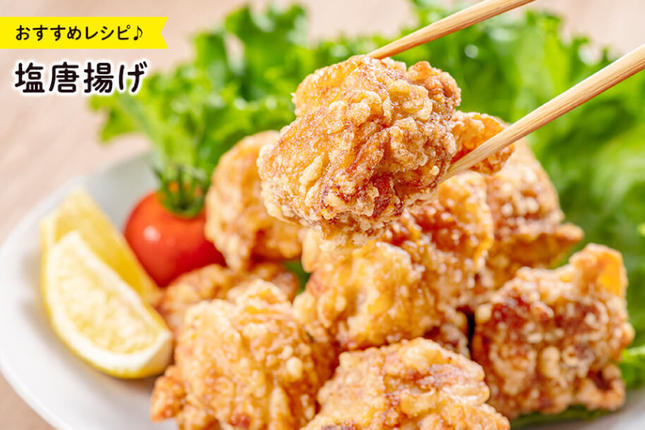 宮崎県美郷町のふるさと納税 鶏肉 むね肉 若鶏むね肉 カット 250g ×16p セット 計 4kg [九州児湯フーズ 宮崎県 美郷町 31aj0054] 小分け むね 鶏胸肉 若鶏 鶏むね肉 ムネ 冷凍 国産 個包装