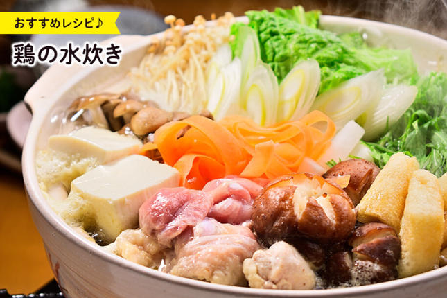 宮崎県美郷町のふるさと納税 鶏肉 むね肉 若鶏むね肉 カット 250g ×16p セット 計 4kg [九州児湯フーズ 宮崎県 美郷町 31aj0054] 小分け むね 鶏胸肉 若鶏 鶏むね肉 ムネ 冷凍 国産 個包装