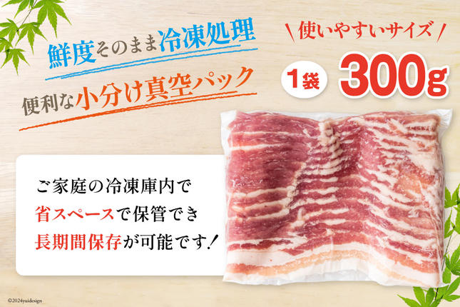 宮崎県美郷町のふるさと納税 豚肉 宮崎県産 豚バラ スライス 300g ×5p 計 1.5kg [甲斐精肉店 宮崎県 美郷町 31as0113] 豚 小分け 個包装 冷凍 真空パック しゃぶしゃぶ 薄切り