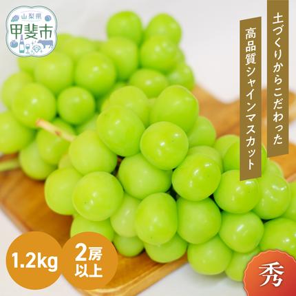 【2026年/令和8年発送＜先行予約＞】土