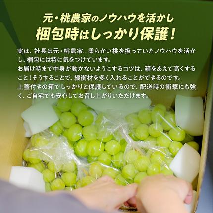 山梨県甲斐市のふるさと納税 【2026年/令和8年発送＜先行予約＞】土にこだわったシャインマスカット 1.2kg 2房以上 先行予約 山梨県産 朝採り 新鮮 シャインマスカット 国産 産地直送 人気 おすすめ 贈答 ギフト お取り寄せ フルーツ 果物 くだもの ぶどう ブドウ 葡萄 新鮮 甘い 皮ごと 甲斐市 BI-5