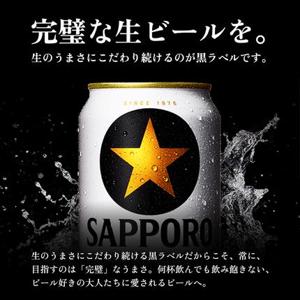 北海道恵庭市のふるさと納税 サッポロ黒ラベル350ml×48本（2箱）【930040012】