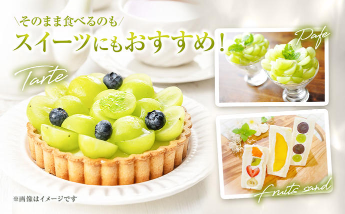 山梨県中央市のふるさと納税 【2025年発送】 ぶどう 山梨県産 シャインマスカット 約1.8kg [株式会社えべし 山梨県 中央市 21471021] フルーツ 果物 くだもの ブドウ シャイン マスカット 葡萄 期間限定 季節限定