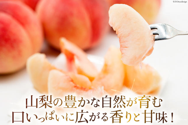 山梨県中央市のふるさと納税 山梨県産 桃 約 3kg [株式会社えべし 山梨県 中央市 21470559] もも モモ フルーツ 果物 くだもの 3キロ 産地直送 季節限定 期間限定 冷蔵 【2026年6月下旬-8月下旬発送予定】