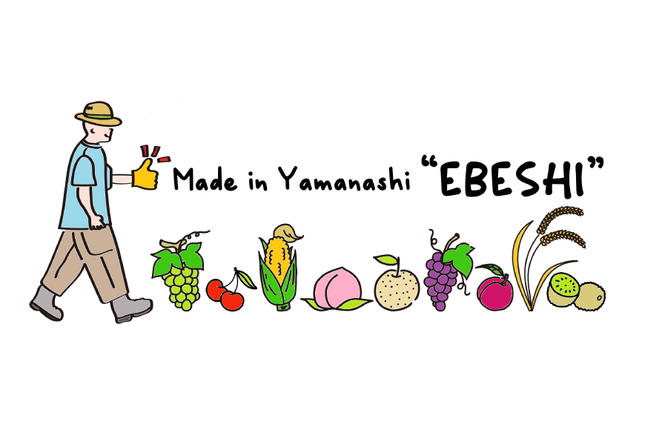 山梨県中央市のふるさと納税 山梨県産 桃 約 3kg [株式会社えべし 山梨県 中央市 21470559] もも モモ フルーツ 果物 くだもの 3キロ 産地直送 季節限定 期間限定 冷蔵 【2026年6月下旬-8月下旬発送予定】