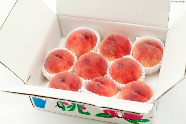 山梨県中央市のふるさと納税 山梨県産 桃 約 3kg [株式会社えべし 山梨県 中央市 21470559] もも モモ フルーツ 果物 くだもの 3キロ 産地直送 季節限定 期間限定 冷蔵 【2026年6月下旬-8月下旬発送予定】