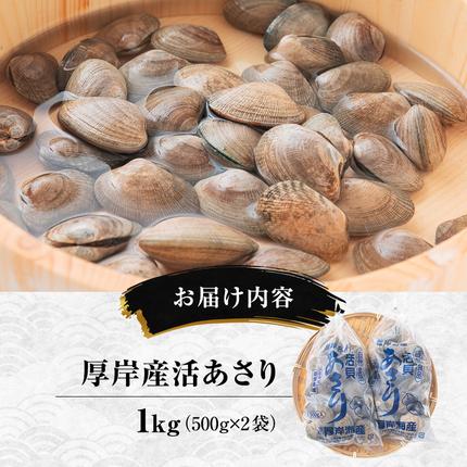 北海道厚岸町のふるさと納税 あさり 訳あり 北海道 厚岸産 砂出し済み 活あさり 500g×2 (合計1kg) 【厚岸海産】[ アサリ 魚貝 海鮮 大粒 美味しい 栄養 旨み 砂出し 水洗い 冷蔵 便利 ]