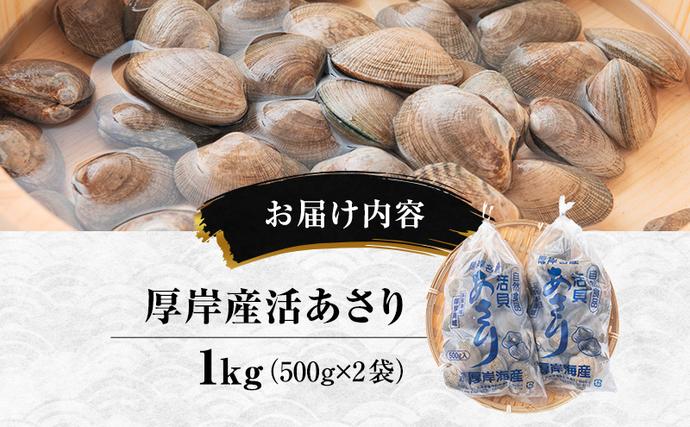 北海道厚岸町のふるさと納税 北海道 厚岸産 訳あり 活あさり 500g×2 (合計1kg) アサリ 魚貝 海鮮 大粒 美味しい 栄養 旨み 砂出し 水洗い 冷蔵 冷凍保存可能 便利