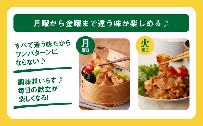 宮崎県木城町のふるさと納税 【一人暮らし応援・子育て応援・時短・お弁当】ChaChatぐるめ15個バラエティセット K16_0040_2 お弁当のおかず 簡単調理 時短 調理済み みそ豚 5種類×3 真空 国産豚肉 国産若鶏 お惣菜 冷凍 焼くだけ 一人暮らし 手軽 宮崎県産 スピード調理  送料無料