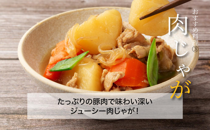 宮崎県木城町のふるさと納税 【訳あり】宮崎県産豚切り落とし5kg(500g×10パック) K16_0055_3