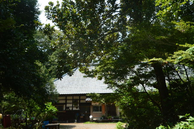 茨城県古河市のふるさと納税 【2025年12月より順次発送】【サイズミックス】茨城県産紅はるか仁連宿さつまいも5kg ｜ さつまいも 薩摩芋 いも 芋 野菜 健康 ヘルシー おやつ スイーツ 食物繊維 生芋 生いも 国産 ギフト 贈答 贈り物 プレゼント 農家直送 産地直送 茨城県 古河市 _FP01