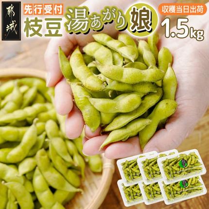 [先行受付]都城産枝豆(湯あがり娘)1.5kg(250g×6P)〔11-B402-7〕