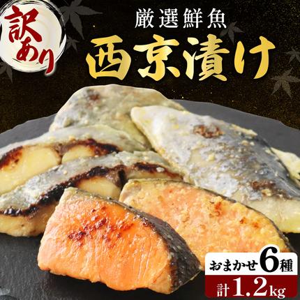 《訳あり》16種の中からおまかせ6種 西京