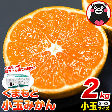訳あり みかん 小玉みかん くまもと小玉み