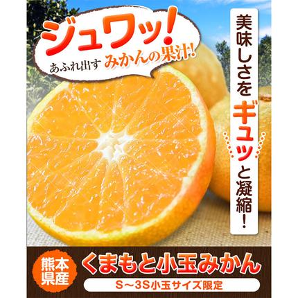 熊本県長洲町のふるさと納税 訳あり みかん 小玉みかん くまもと小玉みかん 2.5kg (2.5kg×1箱) 秋 旬 不揃い 傷 ご家庭用 SDGs 小玉 たっぷり 熊本県 産 S-3Sサイズ フルーツ 旬 柑橘 長洲町 温州みかん《9月下旬-12月下旬頃出荷》