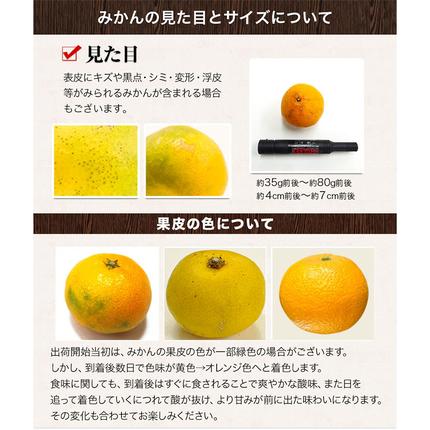 熊本県長洲町のふるさと納税 訳あり みかん 小玉みかん くまもと小玉みかん 2.5kg (2.5kg×1箱) 秋 旬 不揃い 傷 ご家庭用 SDGs 小玉 たっぷり 熊本県 産 S-3Sサイズ フルーツ 旬 柑橘 長洲町 温州みかん《9月下旬-12月下旬頃出荷》