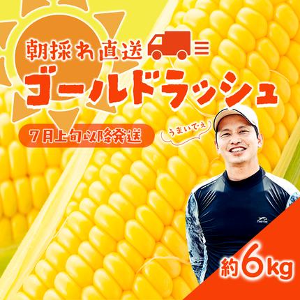 【 先行予約 2026年7月上旬以降発送 