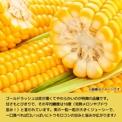 茨城県八千代町のふるさと納税 【 先行予約 2026年7月上旬以降発送 】【農家直送】 朝採り トウモロコシ ゴールドラッシュ 1箱 約6kg とうもろこし スイートコーン 産地直送 期間限定 甘い [SF018ya]