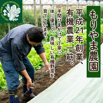 鹿児島県霧島市のふるさと納税 K-226 有機にんじん（合計3.5kg) 【もりやま農園】霧島市 国産 有機栽培 野菜 やさい 人参 ニンジン