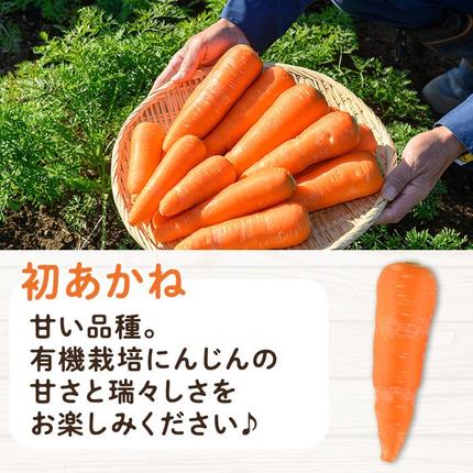 鹿児島県霧島市のふるさと納税 K-226 有機にんじん（合計3.5kg) 【もりやま農園】霧島市 国産 有機栽培 野菜 やさい 人参 ニンジン
