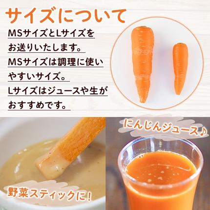 鹿児島県霧島市のふるさと納税 K-226 有機にんじん（合計3.5kg) 【もりやま農園】霧島市 国産 有機栽培 野菜 やさい 人参 ニンジン